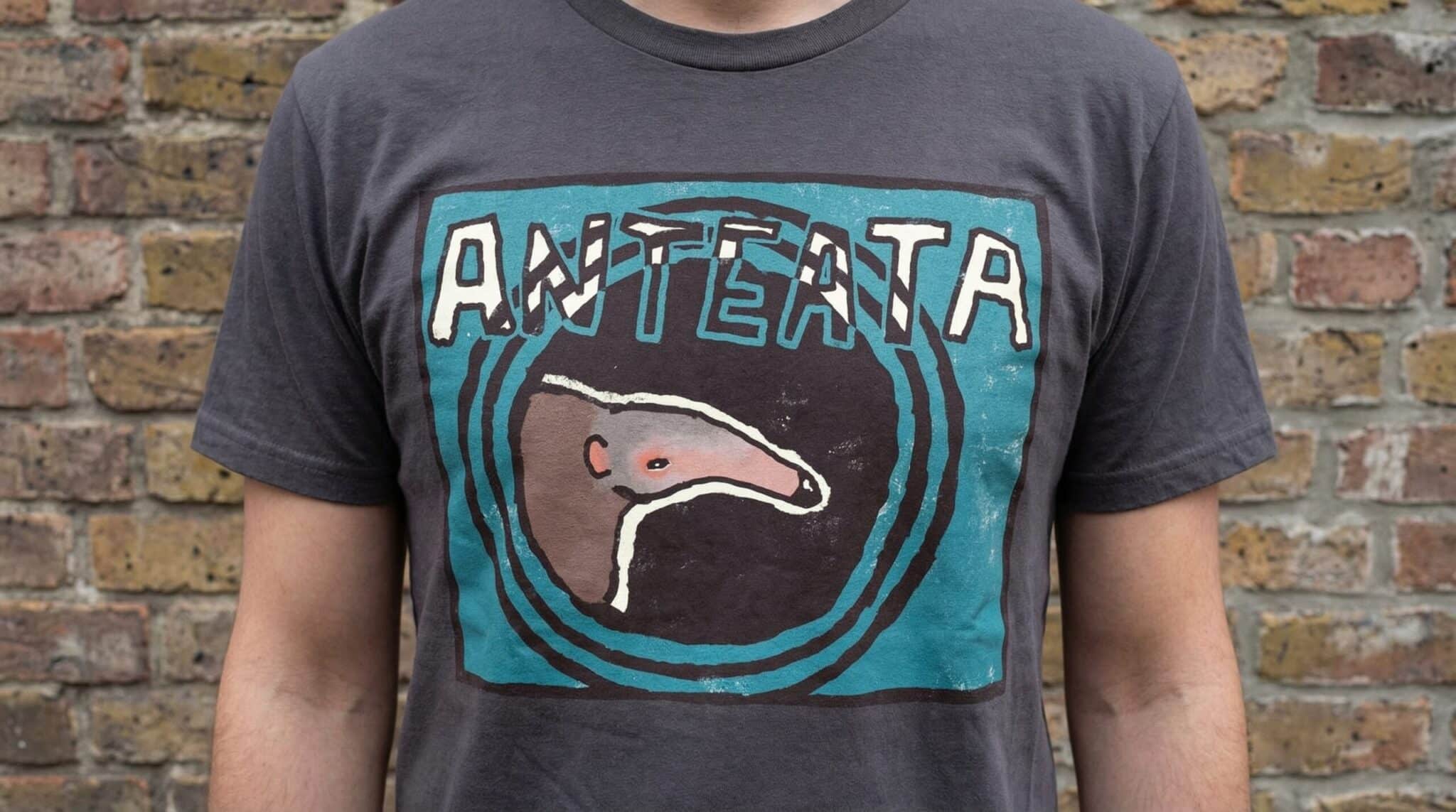 Anteater - Image 3